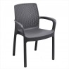 Sedia Regina con Braccioli effetto Rattan – Set 4 Sedie – Arredo Esterno